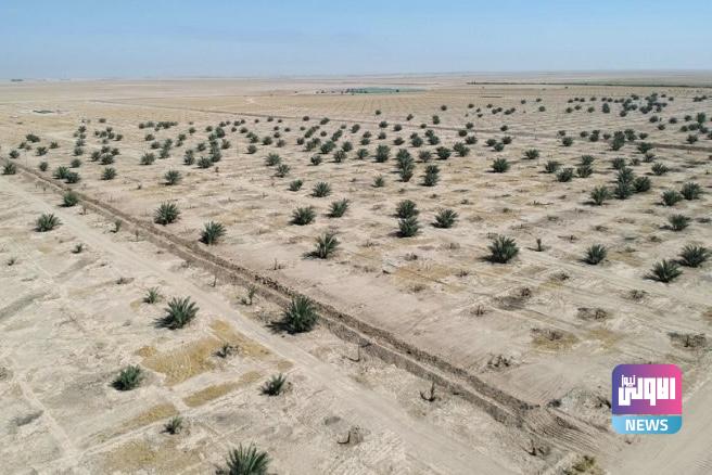 23846BE0 DF0F 41D8 BA5F F8E59B452F65