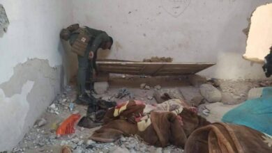 24EB406D 0447 41EB 9D22 5E55057A03C0