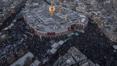 319E47B9 73B1 4BDB B331 6930638B11E7