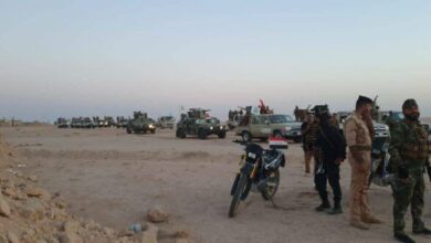 3E982E9B DD0F 4950 AF3E 717688EF8403