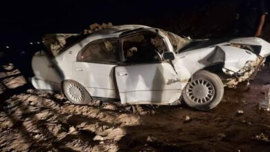 42CD4CCC 18AC 4C8D 8B80 F295701DA89E