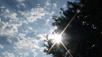 45223135 5DEB 4A59 8D1F 2CB05396D697