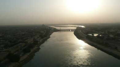 48A62726 9EB9 45A8 A478 95F9642C3DFD