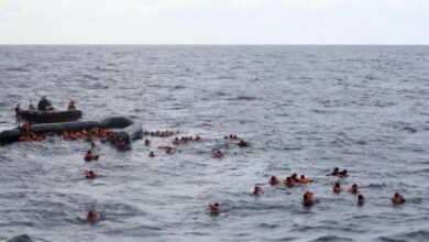 49DFADFF BCF6 4022 9508 507CEF7D1A2A