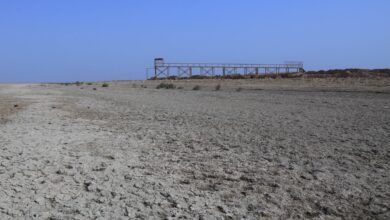 5AA7CE2A 87B7 4C95 A274 2B6F3A0B00A4