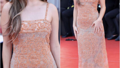 5DD222B8 FD91 40A9 8E21 4CE372AA4952