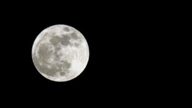 63219a384c59b7628b0d5616