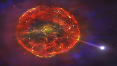 632869244c59b724b340f317