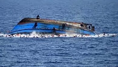 63911E9E A256 436C A6DB 148B01095804