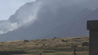 6897FAC5 89F3 45A2 8EE9 DF96DA0C0EBD