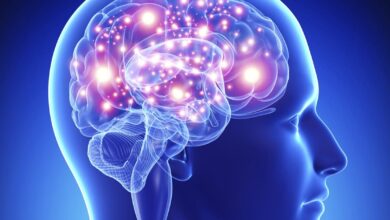 6ada130b 0ab3 48f4 b9b3 8f27b61cabae