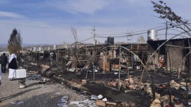 7E4066F9 4BF1 4B9E B1C2 6C94C68D516D