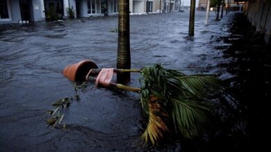 846C1129 E59B 4462 8923 E94132CF3547