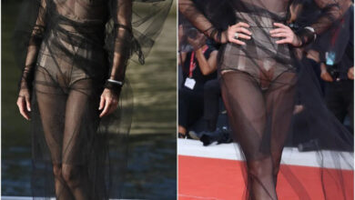 8BE0A1AF 5AD4 4EF6 A80E 978F1565D90E