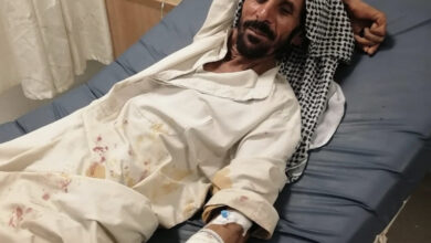 8BF699D5 F353 4459 B959 EEA62BDC45D7