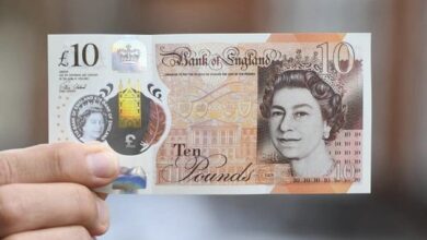 8CD1B003 35D3 4BF8 A982 2EC33C22ED0D