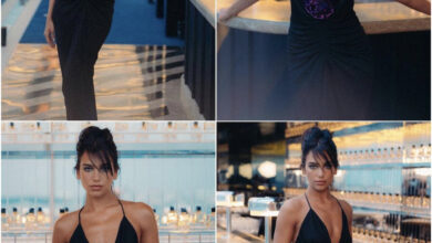 8D7C37CB 1D19 4394 A82E 2013797CA448