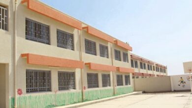 922FED3E 839C 40FD A7BA 6A3DDC2260F9