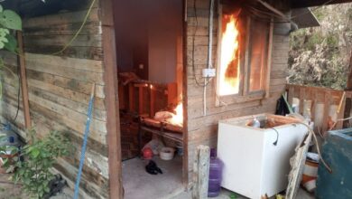 فرقة الرد السريع تدمر ثلاثة أوكار إرهابية في ديالى 5 9D0A8867 D81D 4A8D BD94 1FC3A6325A39