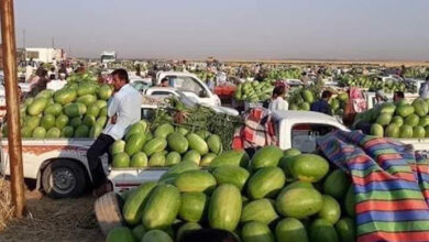 AC81FFE8 C07A 4E8E A0BD 2D3F2BFC295D