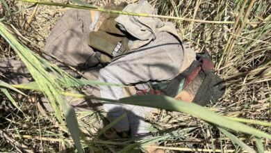 ACBBB834 B97C 4B08 8CCF 300A698FC1A4