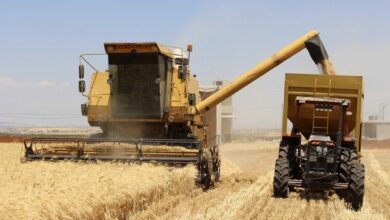 AFC7B438 BD77 487A 9834 E165FF08E8D2