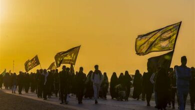 BEF7BAEB 88B4 490A 8BEE 79D338AE36A1