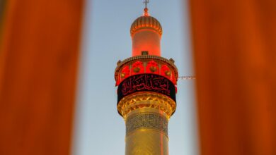 C23160DA 816C 460A B7C7 E9860B8E5E13