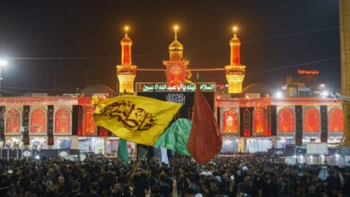 C56E4A7C 5212 4E31 8D81 30ACF493BF35