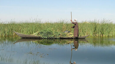 D2B71E00 593A 477C B6A6 460F1B2A107D