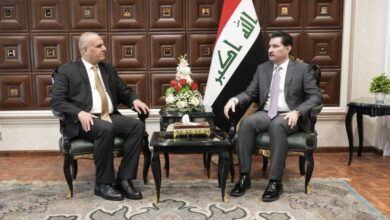 D312AFF8 1355 43FA A6A6 355660493998