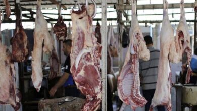 D402947F EF25 4D0A 9B04 4197CA4AFC18