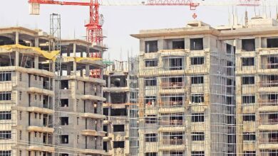 D617701C 4056 4D29 B9DE 5E31913DD64C