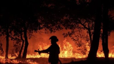 الحرائق تستعر غربي فرنسا.. وتلتهم 1000 هكتار 6 DC5F7C66 1571 49A4 B664 D75F782EB5FF