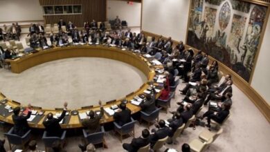 DFF00437 F343 4D59 B7D3 559A4C4996B4