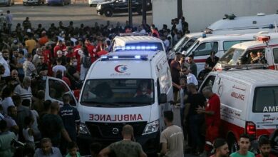 Doc P 433135 637996514427709211