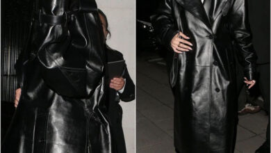 E0E22FA1 ADE4 463E 966F C6BD4699ABEA