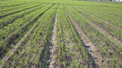 E15D951E 6028 4BF3 B402 5E85CC8F5A4B