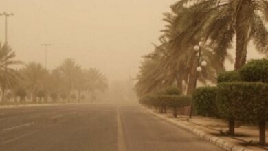 طقس العراق.. تصاعد للغبار وانخفاض في درجات الحرارة الأسبوع الحالي 2 E41C4795 394F 411F 9709 B62A0014D7D6