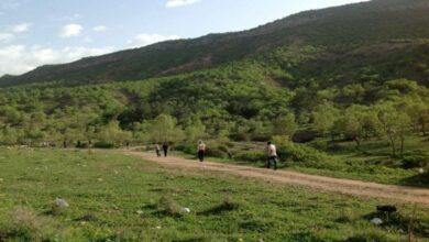 E82A81FB C1F0 4780 90FD DE8F3F0854EE