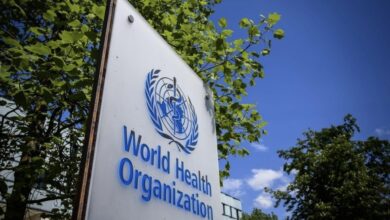 F035A20F 3B20 42C7 999B BB5720CB7EE6