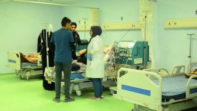 FE314432 A913 41D3 9D01 9CA5CE6C7D6D