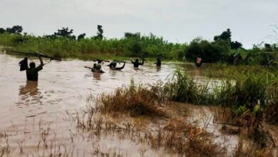 IMG 20220906 081448 044