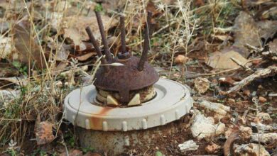 IMG 20220911 092312 548