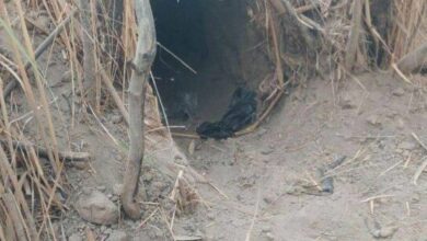 IMG 20220914 094819 976