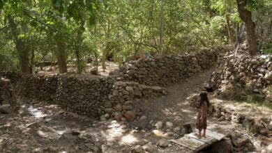 IMG 20220923 110846 209