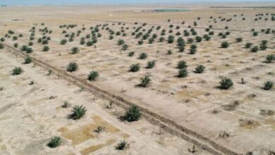 IMG 20220930 102921 496