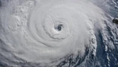 Screenshot 2022 09 24 08 28 47 79 40deb401b9ffe8e1df2f1cc5ba480b12