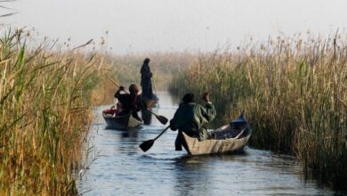 Screenshot 20220906 194900