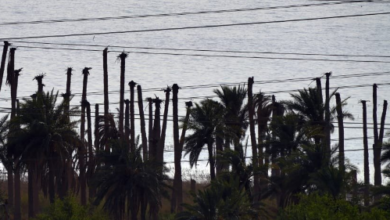 Screenshot ٢٠٢٢٠٩١٠ ٢١٣٢٤٩